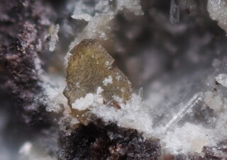 Deutschland/Rheinland-Pfalz/Südliche Weinstraße, Landkreis/Albersweiler