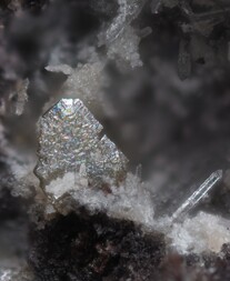 Deutschland/Rheinland-Pfalz/Südliche Weinstraße, Landkreis/Albersweiler