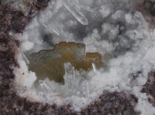 Deutschland/Rheinland-Pfalz/Südliche Weinstraße, Landkreis/Albersweiler