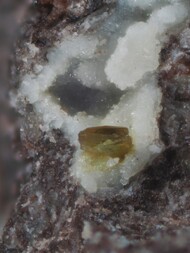 Deutschland/Rheinland-Pfalz/Südliche Weinstraße, Landkreis/Albersweiler