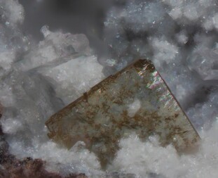 Deutschland/Rheinland-Pfalz/Südliche Weinstraße, Landkreis/Albersweiler