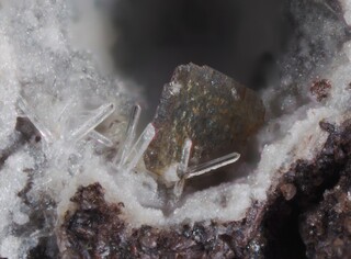 Deutschland/Rheinland-Pfalz/Südliche Weinstraße, Landkreis/Albersweiler