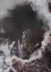 Deutschland/Rheinland-Pfalz/Südliche Weinstraße, Landkreis/Albersweiler