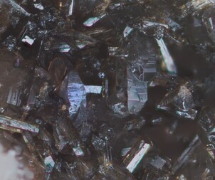 Deutschland/Rheinland-Pfalz/Kusel, Landkreis/Kusel-Altenglan, Verbandsgemeinde/Föckelberg/Hochbusch