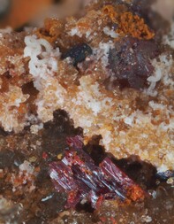 Deutschland/Rheinland-Pfalz/Donnersbergkreis/Nordpfälzer Land, Verbandsgemeinde/Stahlberg, Gemeinde