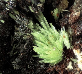 Deutschland/Baden-Württemberg/Freiburg, Bezirk/Waldshut, Landkreis/St. Blasien, Stadtgemeinde/Menzenschwand, Ortsteil/Krunkelbach