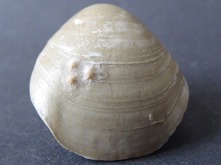 Deutschland/Baden-Württemberg/Schwäbische Alb