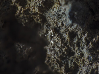 Deutschland/Baden-Württemberg/Freiburg, Bezirk/Rottweil, Landkreis/Schenkenzell, Gemeinde/Kaltbrunn, Ortsteil/Wittichen/Grube Sophia