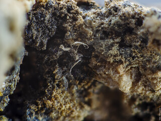 Deutschland/Baden-Württemberg/Freiburg, Bezirk/Rottweil, Landkreis/Schenkenzell, Gemeinde/Kaltbrunn, Ortsteil/Wittichen/Grube Sophia