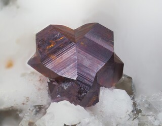 Schweiz/Wallis, Kanton/Goms, Bezirk/Binntal/Binn/Kriegalptal (Chriegalptal)/Wannigletscher-Scherbadung