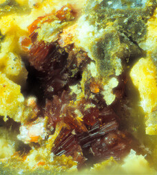 Deutschland/Bayern/Oberpfalz, Bezirk/Neustadt an der Waldnaab, Landkreis/Waidhaus/Hagendorf/Hagendorf-Süd (Grube Cornelia)