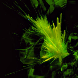 Griechenland/Attika (Attikí, Attica)/East Attica/Lavreotiki/Lavrion (Laurion), Bergbaudistrikt/Plaka/Paleokamariza (Paliokamariza)-Gruben/Paliokamariza Mine No. 18