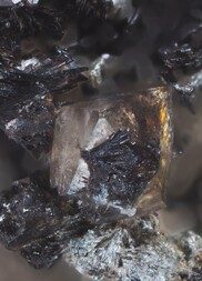 Schweiz/Wallis, Kanton/Goms, Bezirk/Binntal/Binn/Kriegalptal (Chriegalptal)/Wannigletscher-Scherbadung