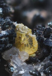 Schweiz/Wallis, Kanton/Goms, Bezirk/Binntal/Binn/Kriegalptal (Chriegalptal)/Wannigletscher-Scherbadung