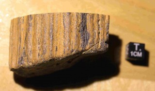 Deutschland/Bayern/Unterfranken, Bezirk/Kitzingen, Landkreis/Volkach/Mainkies