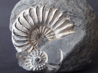 Deutschland/Bayern/Oberfranken, Bezirk