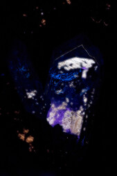 Frankreich/Provence-Alpes-Côte d'Azur, Région/Hautes-Alpes, Département/Gap, Arrondissement/Garde-Colombe/Saint-Genis