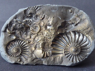 Deutschland/Bayern/Oberfranken, Bezirk