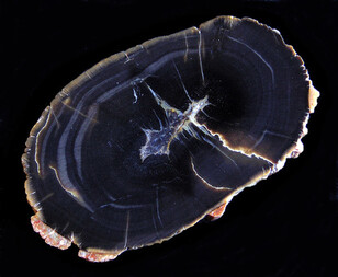 Polen/Karpatenvorland (Podkarpackie), Woiwodschaft/Sanok, Powiat