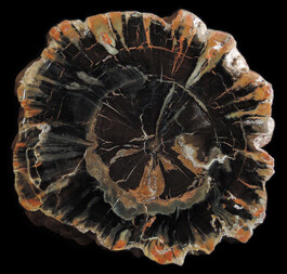 Deutschland/Bayern/Oberfranken, Bezirk/Bamberg, Landkreis