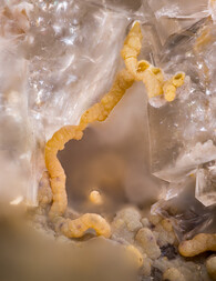 Deutschland/Hessen/Darmstadt, Bezirk/Wetteraukreis/Nidda/Ober-Widdersheim/Steinbruch Nickel (Ober-Widdersheim)