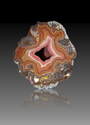 USA/Montana/Big Horn County/Pryor Mountains/Bighorn River area