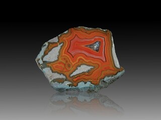 USA/Montana/Big Horn County/Pryor Mountains/Bighorn River area