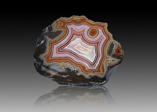 USA/Montana/Big Horn County/Pryor Mountains/Bighorn River area