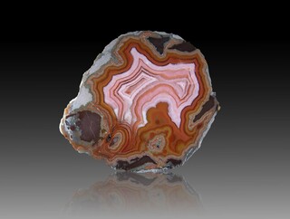 USA/Montana/Big Horn County/Pryor Mountains/Bighorn River area