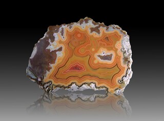 USA/Montana/Big Horn County/Pryor Mountains/Bighorn River area