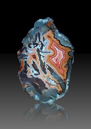 USA/Montana/Big Horn County/Pryor Mountains/Bighorn River area