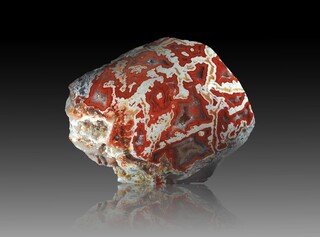 USA/Montana/Big Horn County/Pryor Mountains/Bighorn River area