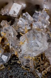 Deutschland/Hessen/Darmstadt, Bezirk/Wetteraukreis/Nidda/Ober-Widdersheim/Steinbruch Nickel (Ober-Widdersheim)