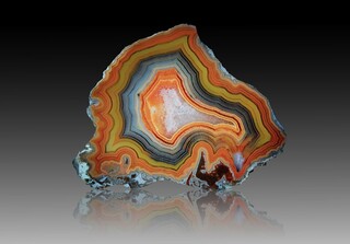 USA/Montana/Big Horn County/Pryor Mountains/Bighorn River area