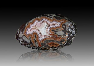 USA/Montana/Big Horn County/Pryor Mountains/Bighorn River area