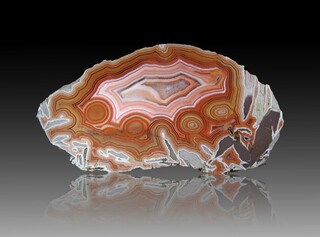 USA/Montana/Big Horn County/Pryor Mountains/Bighorn River area