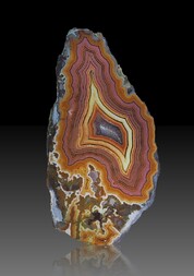 USA/Montana/Big Horn County/Pryor Mountains/Bighorn River area