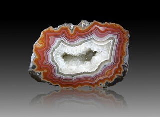 USA/Montana/Big Horn County/Pryor Mountains/Bighorn River area