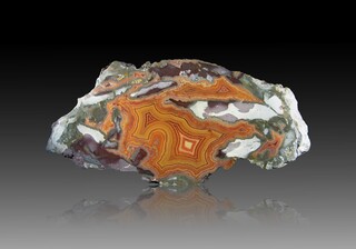 USA/Montana/Big Horn County/Pryor Mountains/Bighorn River area