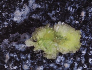 Schweiz/Wallis, Kanton/Goms, Bezirk/Binntal/Binn/Kriegalptal (Chriegalptal)/Wannigletscher-Scherbadung