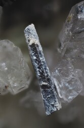 Schweiz/Wallis, Kanton/Goms, Bezirk/Binntal/Binn/Kriegalptal (Chriegalptal)/Wannigletscher-Scherbadung