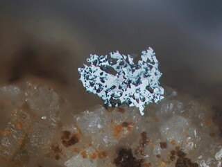 Schweiz/Wallis, Kanton/Goms, Bezirk/Binntal/Binn/Kriegalptal (Chriegalptal)/Wannigletscher-Scherbadung