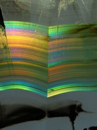 USA/Montana/Dawson County/Glendive/Yellowstone River