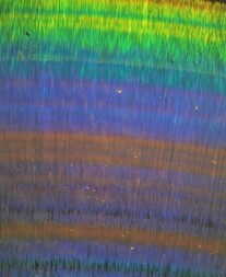 USA/Montana/Dawson County/Glendive/Yellowstone River