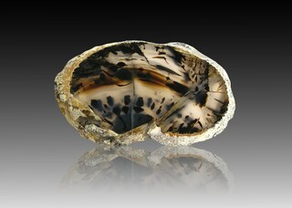 USA/Montana/Dawson County/Glendive/Yellowstone River