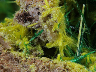 Demokratische Republik Kongo/Katanga (Shaba), Provinz/Lualaba, Distrikt/Kolwezi, Revier/Kolwezi, Stadt/Musonoi