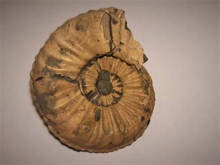 Deutschland/Bayern/Oberfranken, Bezirk/Bamberg, Landkreis/Buttenheim, Gemeinde/Tongrube Holzbachacker