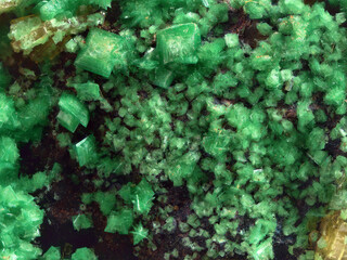 Deutschland/Baden-Württemberg/Freiburg, Bezirk/Waldshut, Landkreis/St. Blasien, Stadtgemeinde/Menzenschwand, Ortsteil/Krunkelbach