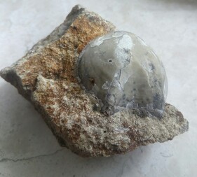 Deutschland/Sachsen/Dresden/Ratssteinbruch