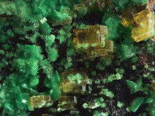 Deutschland/Baden-Württemberg/Freiburg, Bezirk/Waldshut, Landkreis/St. Blasien, Stadtgemeinde/Menzenschwand, Ortsteil/Krunkelbach